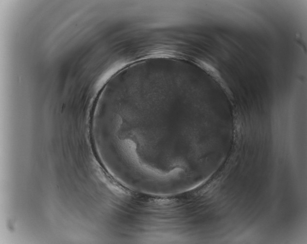 X0000100881427200806271126