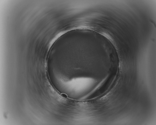 X0000100881428200806271126