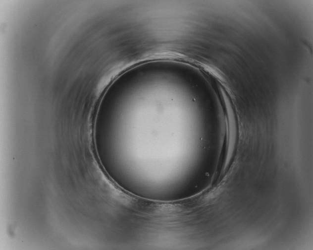 X0000100881430200806271126