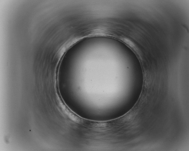 X0000100881431200806271126