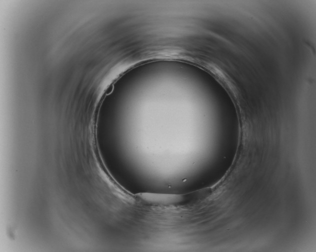 X0000100881432200806271126