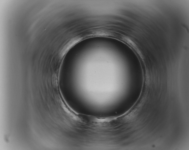 X0000100881433200806271126