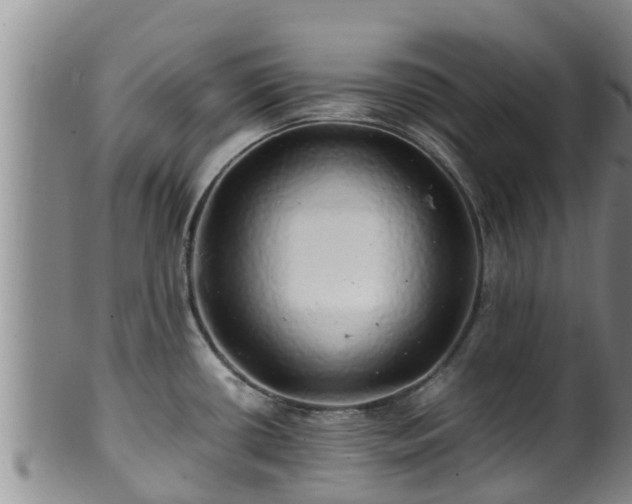 X0000100881434200806271126