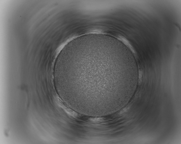 X0000100881435200806271126