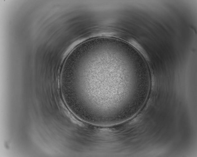 X0000100881436200806271126