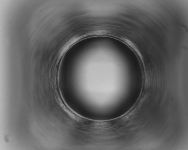 X0000100881437200806271126