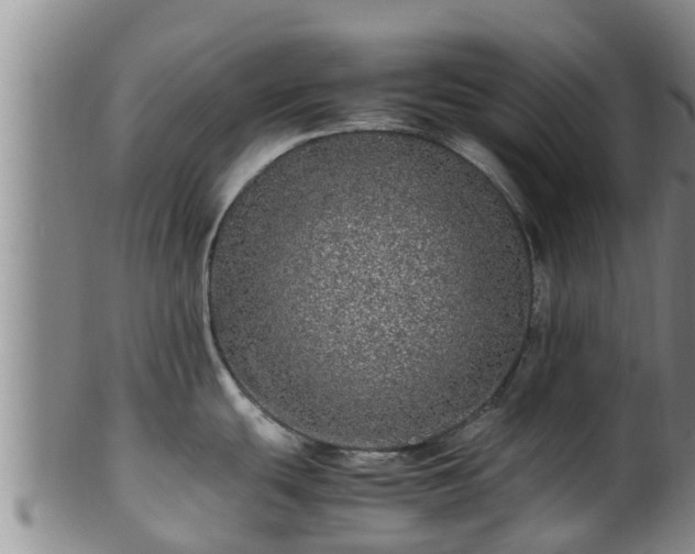 X0000100881439200806271126