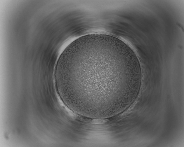 X0000100881440200806271126