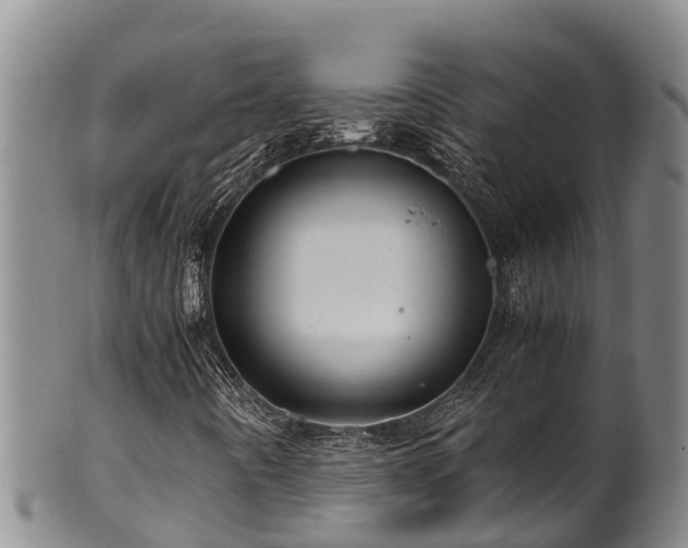 X0000100881442200806271126