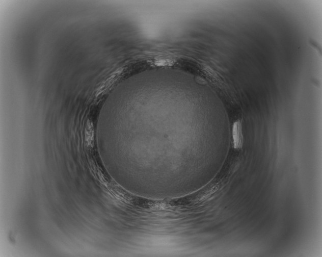 X0000100881443200806271126