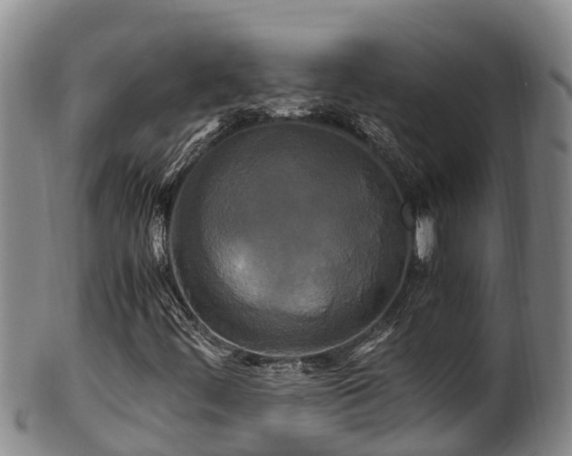 X0000100881444200806271126