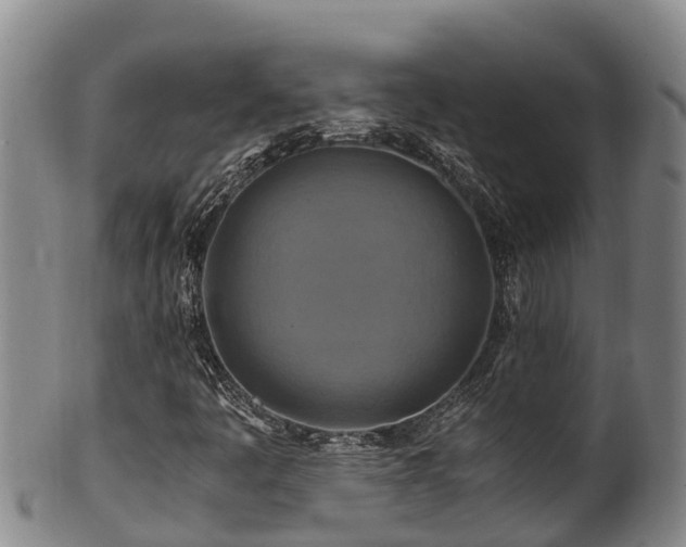 X0000100881445200806271126