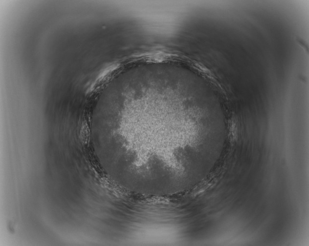 X0000100881446200806271125