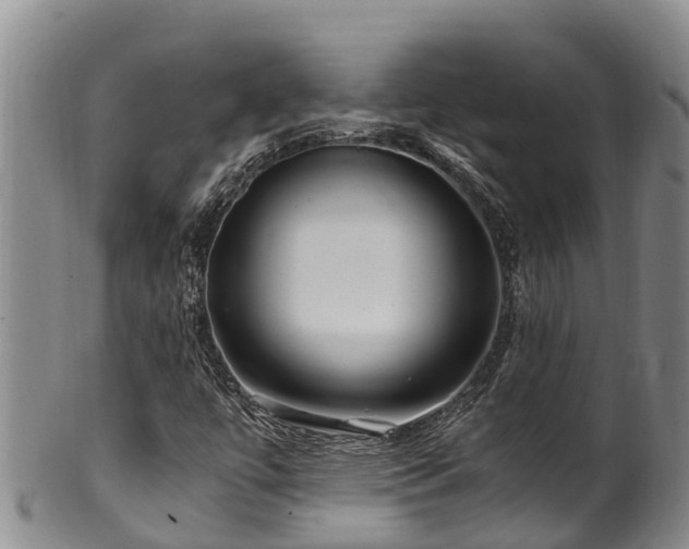 X0000100881447200806271125