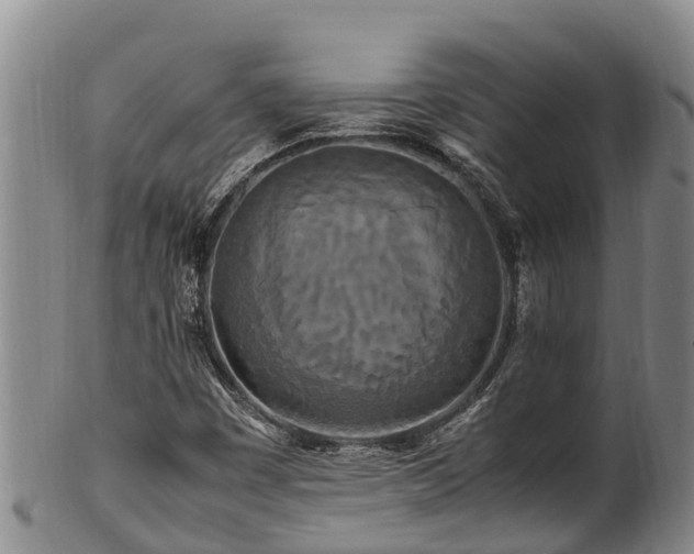 X0000100881449200806271125