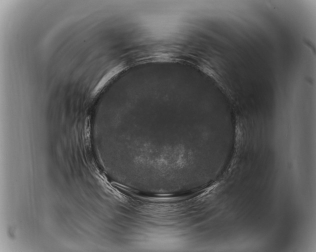 X0000100881450200806271125