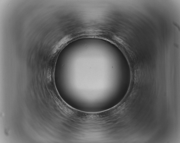 X0000100881451200806271125