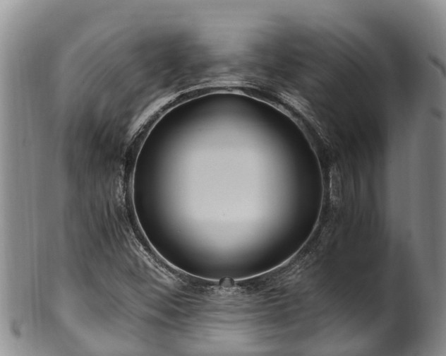 X0000100881452200806271125