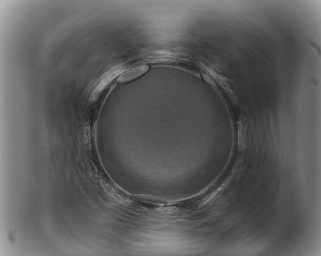 X0000100881453200806271125