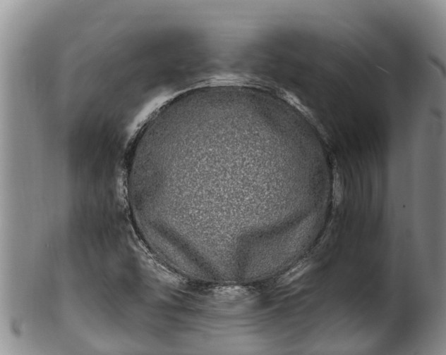 X0000100881454200806271125