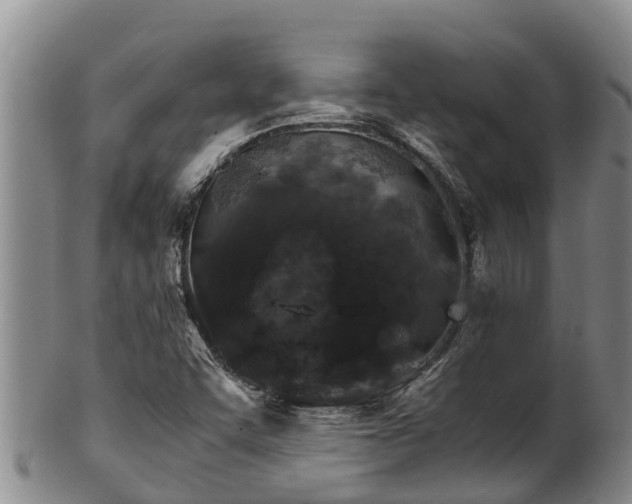 X0000100881455200806271125