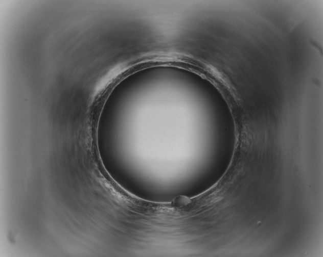 X0000100881456200806271125