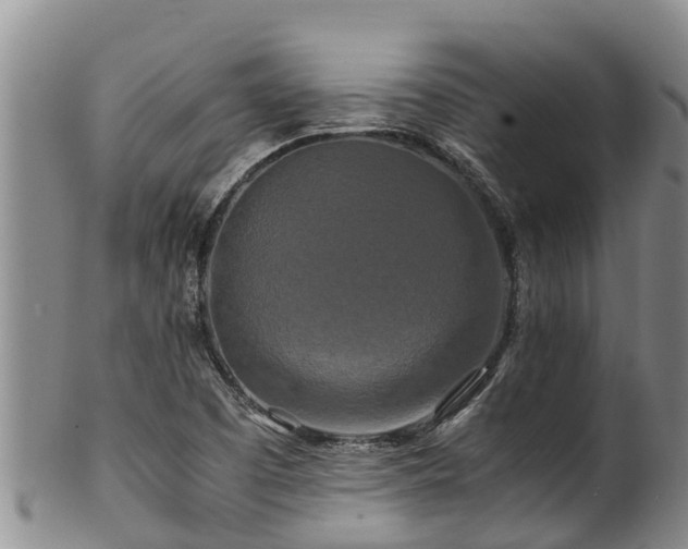 X0000100881457200806271125