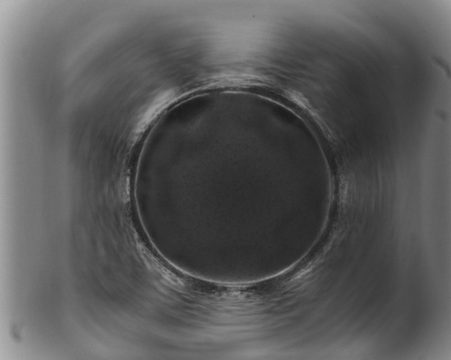 X0000100881459200806271125