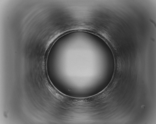 X0000100881460200806271125