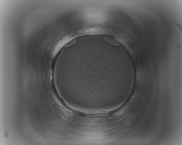 X0000100881461200806271125