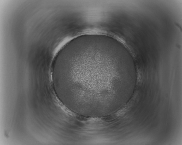 X0000100881462200806271125