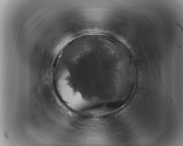 X0000100881463200806271125