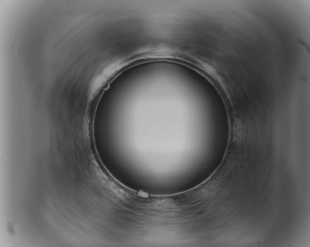 X0000100881464200806271125