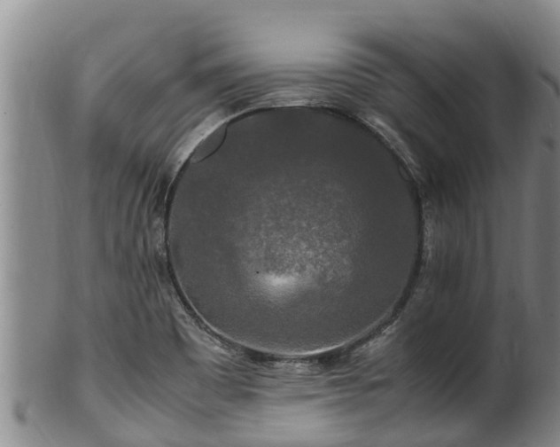 X0000100881465200806271125