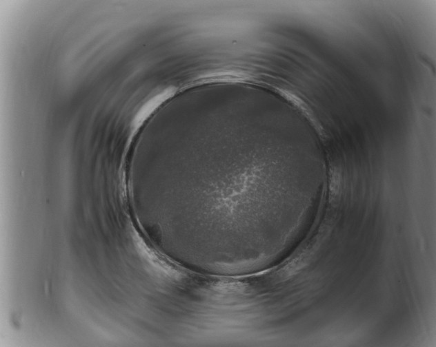 X0000100881466200806271125