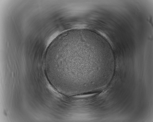 X0000100881467200806271125