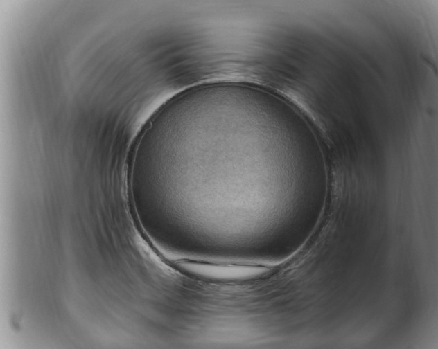 X0000100881468200806271125