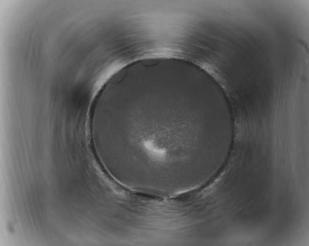 X0000100881469200806271125