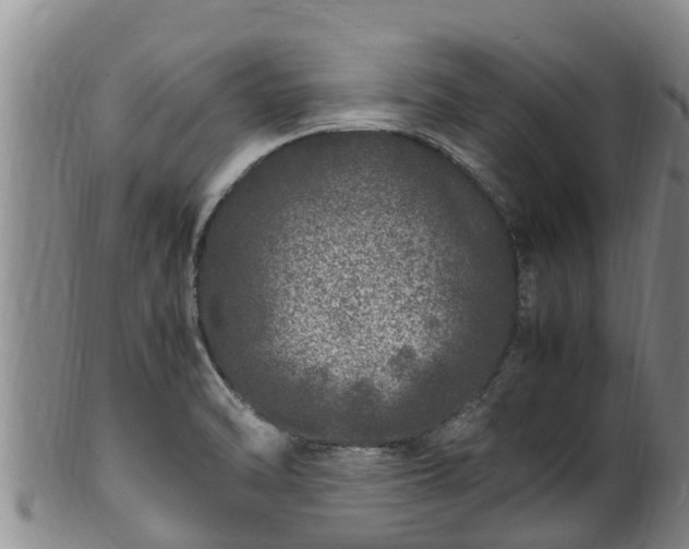 X0000100881470200806271125