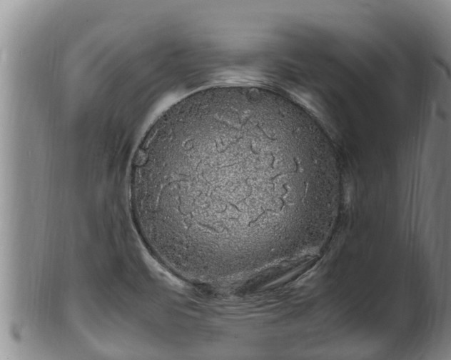 X0000100881471200806271125