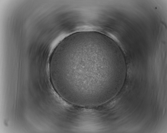 X0000100881472200806271125