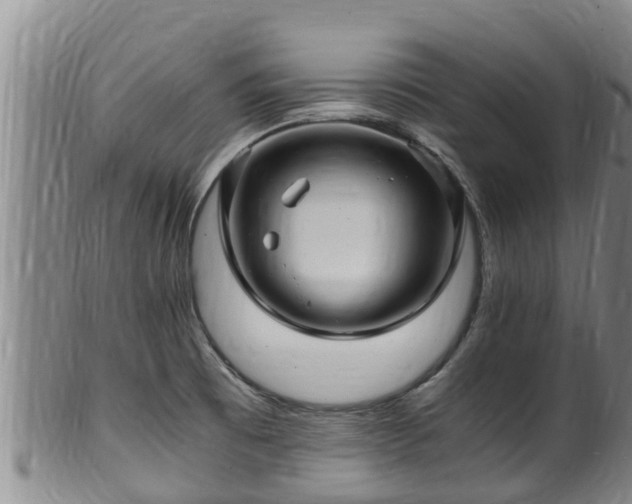 X0000100881473200806271125