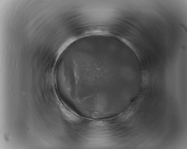 X0000100881474200806271125