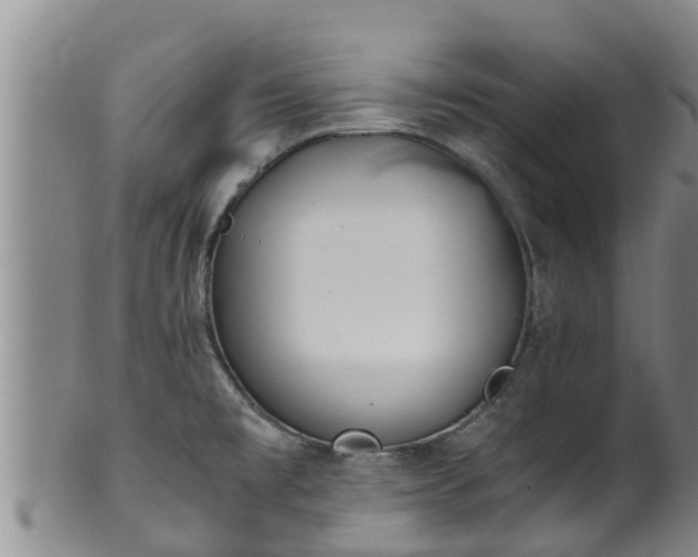 X0000100881477200806271125