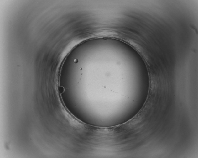 X0000100881478200806271125