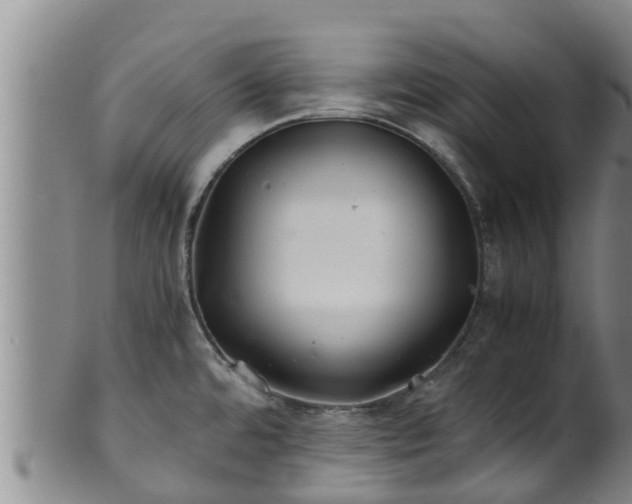 X0000100881480200806271125