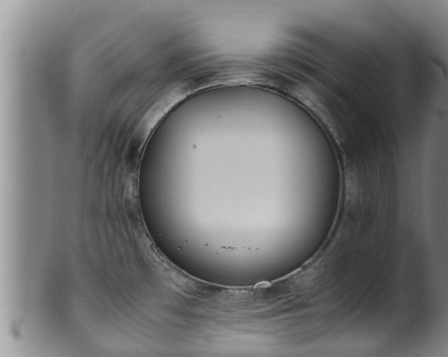 X0000100881481200806271125