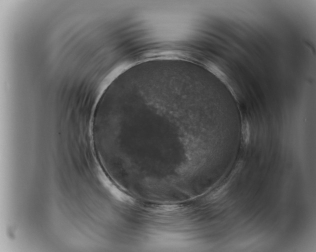 X0000100881482200806271125