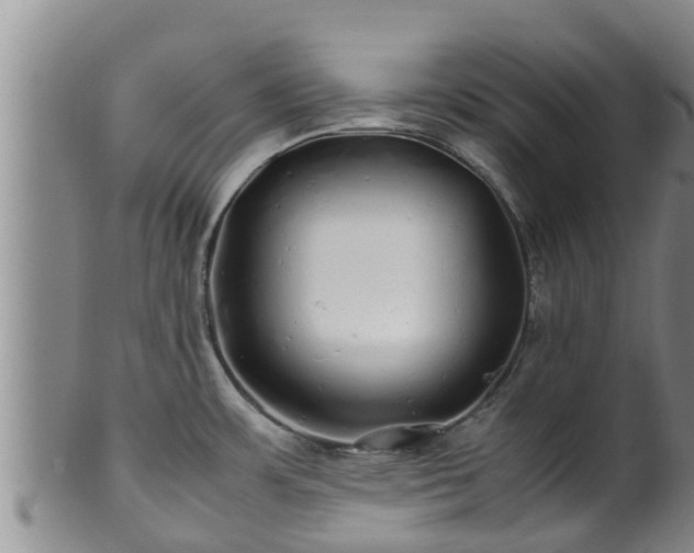 X0000100881483200806271125