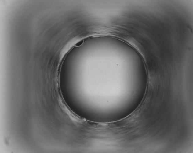 X0000100881485200806271125